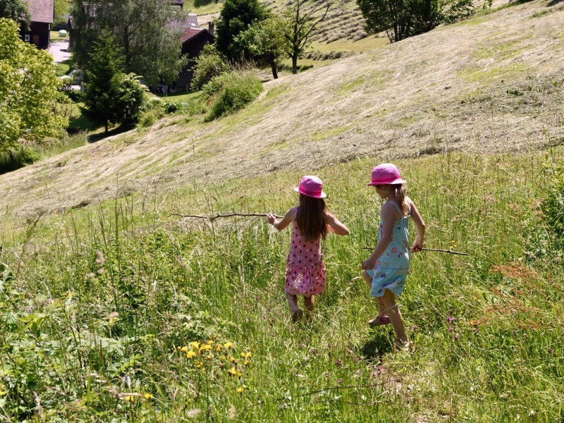 Classe découverte sur le thème de la montagne